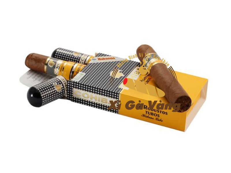 Xì gà Robusto Tubos chất lượng khá đắt đỏ
